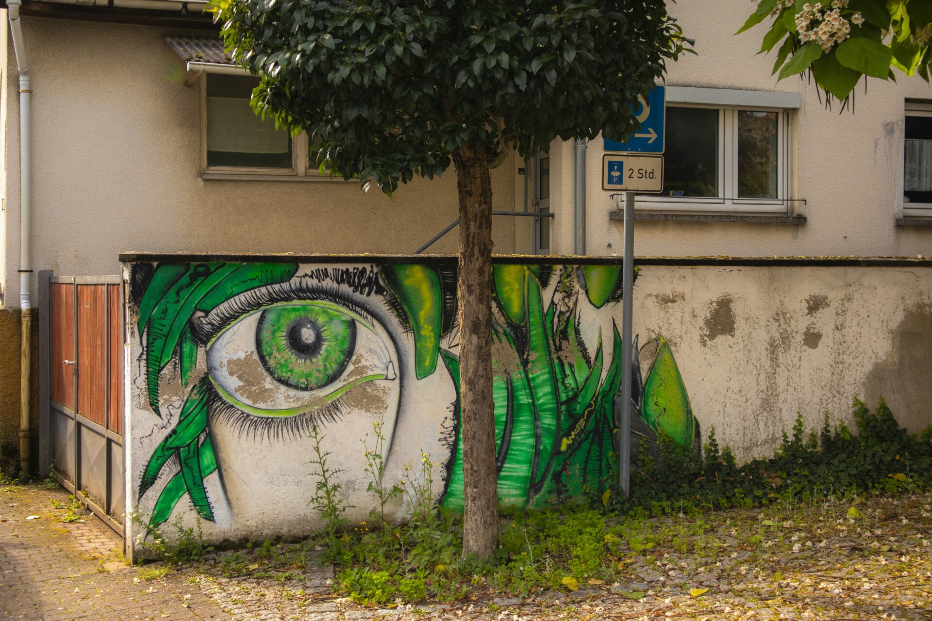Reze Brunner
