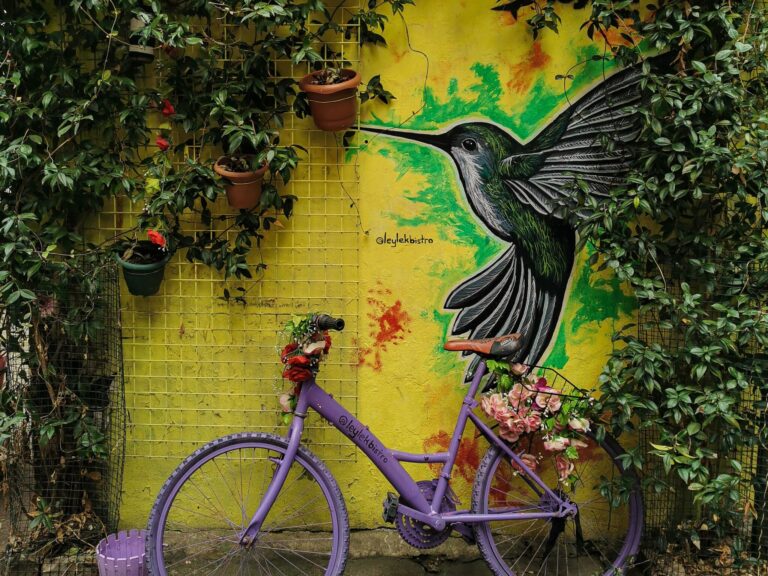 Graffiti eines Kolibris auf gelbem Hintergrund. Ein lilanes Velo steht im Vordergrund
